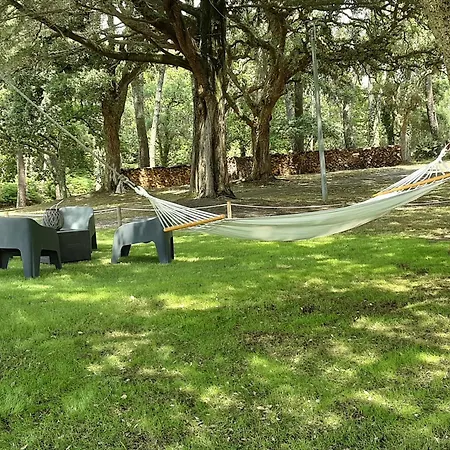 Grande Maison Avec Piscine Privee Feriehus