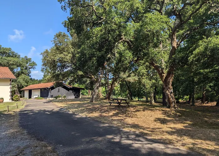 Grande Maison Avec Piscine Privee *